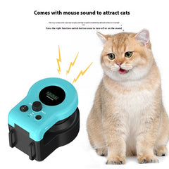 ChaseWhisker™ – Exercise Made Fun for Lazy Cats 😺💨