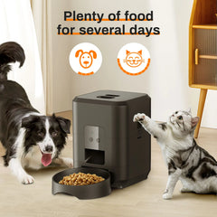 Furhaven Smart Pet Feeder Automatic