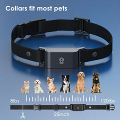 4G GPS tracker for pets real-time
