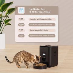 Furhaven Smart Pet Feeder Automatic