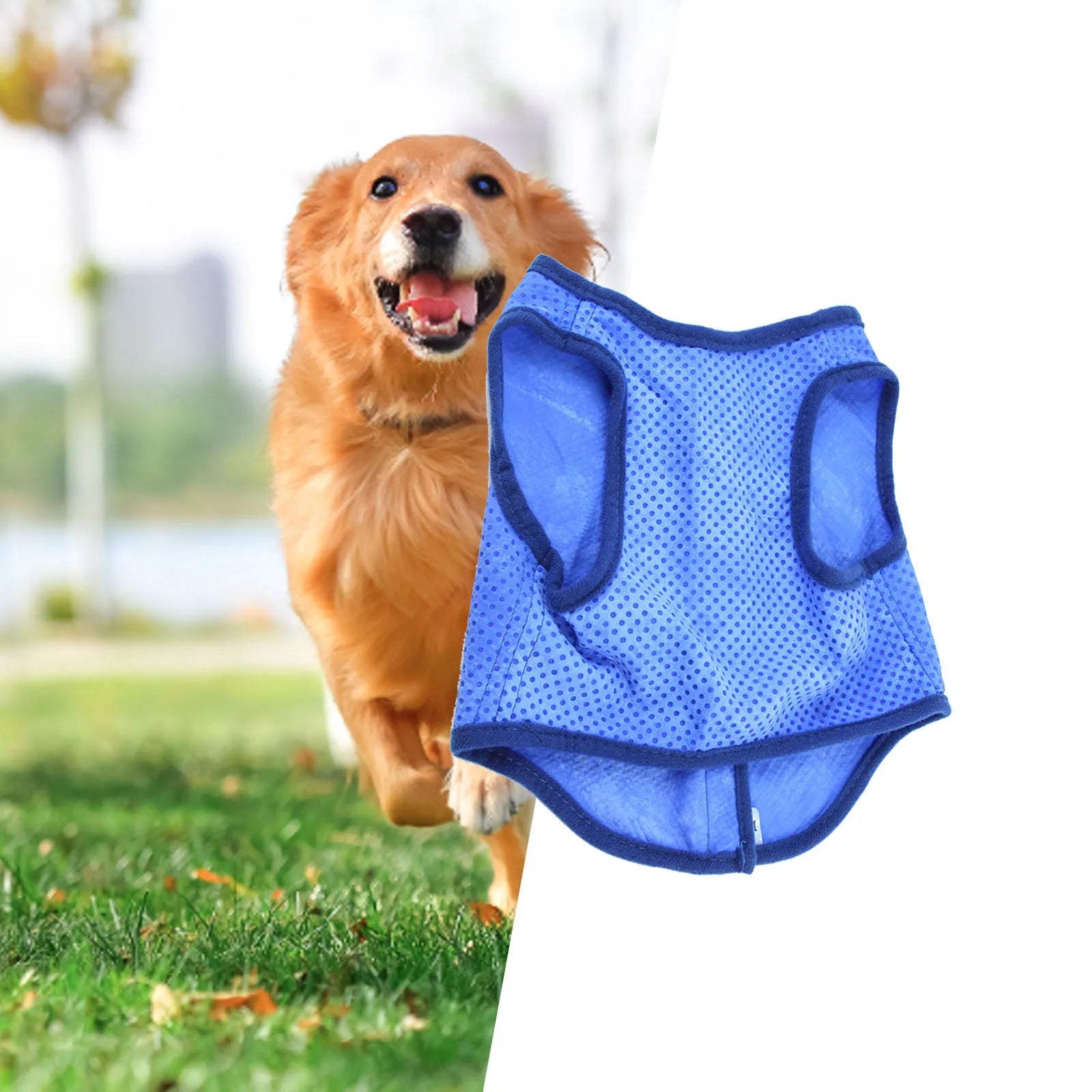 Dog cooling vest mesh harness outdoor