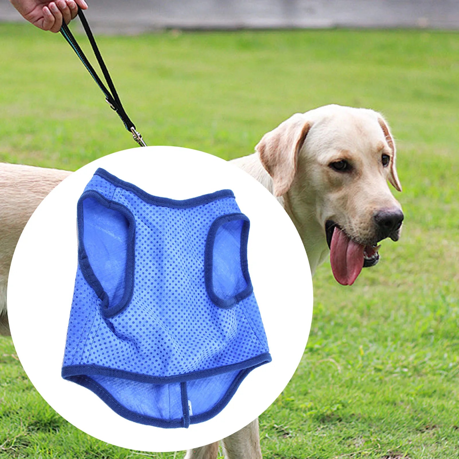 Instant cooling coat for dogs summer