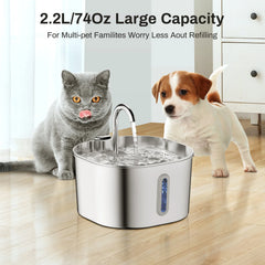 Furhaven Camera Pet Feeder WiFi APP