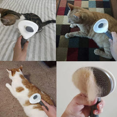 Furhaven Self-Cleaning Grooming Brush