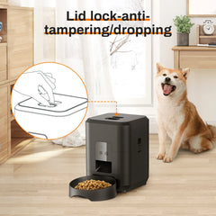 Furhaven Smart Pet Feeder Automatic