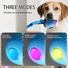Anti-Boredom Moving Dog Ball | 3-Mode Smart Exercise Toy